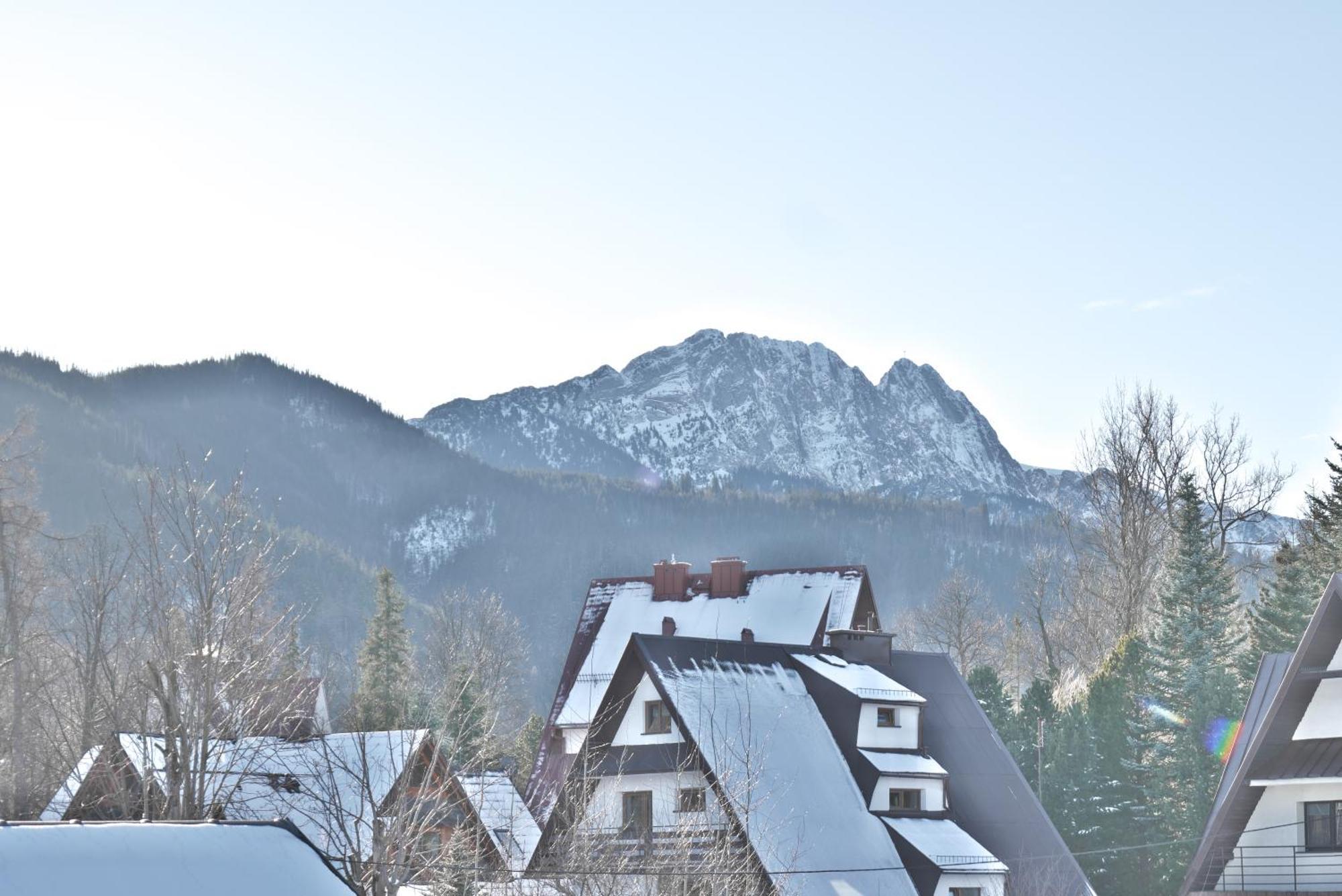 Willa Cicha Zakopane Exteriör bild